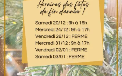 Horaires des fêtes de fin d&rsquo;année